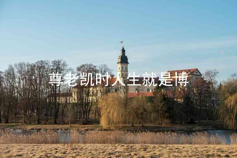 尊老凯时人生就是博