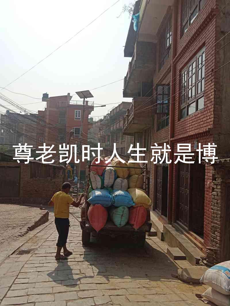 尊老凯时人生就是博